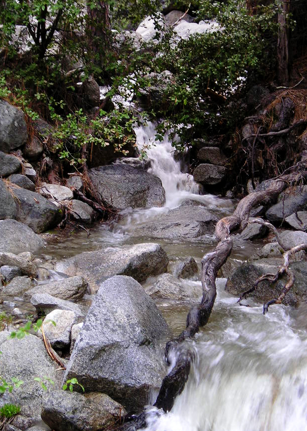 Yosemite-BubblingBrook.jpg