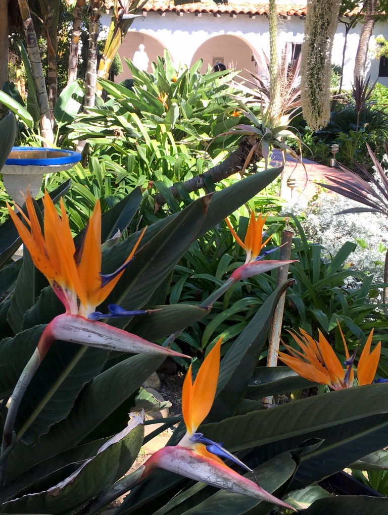 Mission-San-Diego-MeditationGarden | Davina at Home and Abroad