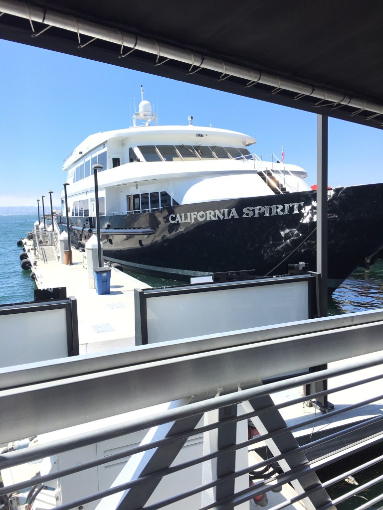 San Diego Harbor Cruise by Flagship Cruises