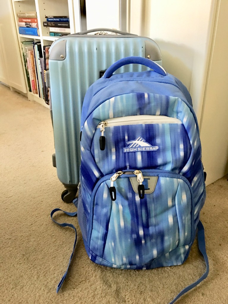 Carry-on sized hard body suitcase and lap-top backpack.