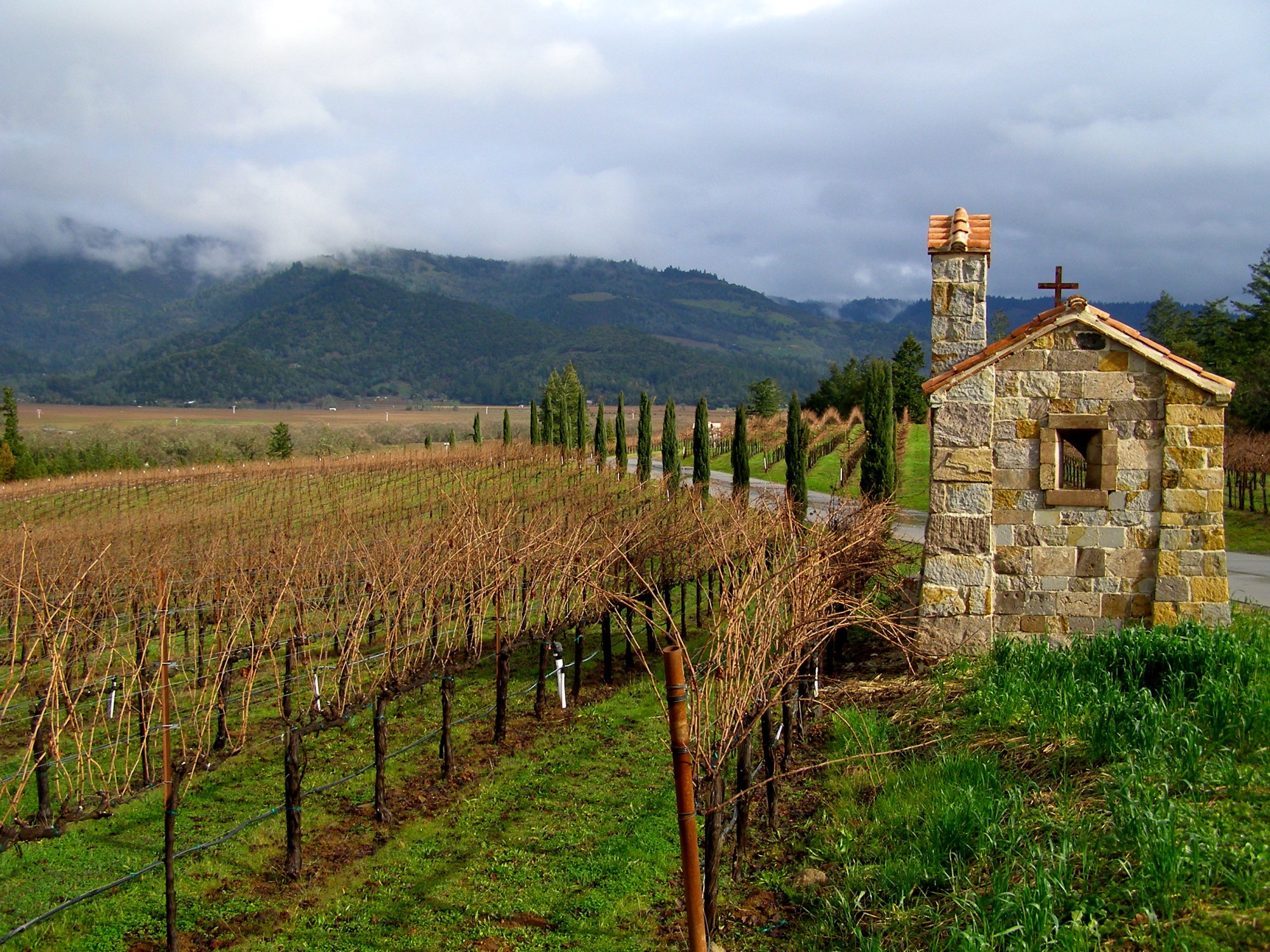 View of Napa Valley from the Gate House of Castello di Amorosa | Dawn Devine ~ davinadevine.me