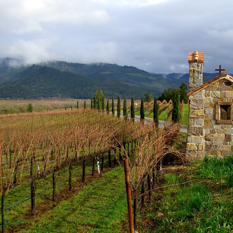 View of Napa Valley from the Gate House of Castello di Amorosa | Dawn Devine ~ davinadevine.me